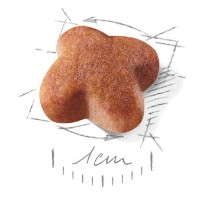 Сухой корм для собак Royal Canin Jack Russell Terrier Adult 3kg фото №2 — интернет-магазин Desire.md