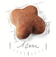 Hrană uscată pentru câini Royal Canin Jack Russell Terrier Puppy 3kg imaginea #2 — magazin online Desire.md