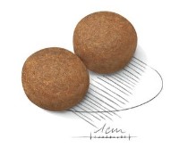 Сухой корм для собак Royal Canin Maxi Adult 15kg фото №2 — интернет-магазин Desire.md