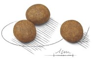 Сухой корм для собак Royal Canin Maxi Puppy 15kg. фото №2 — интернет-магазин Desire.md