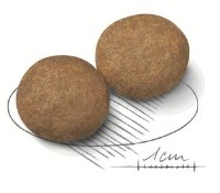 Сухой корм для собак Royal Canin Medium Adult 4kg фото №2 — интернет-магазин Desire.md