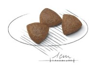 Hrană uscată pentru câini Royal Canin Medium Starter Mother & Babydog 1kg imaginea #2 — magazin online Desire.md