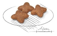 Сухой корм для собак Royal Canin Mini Adult 8kg фото №2 — интернет-магазин Desire.md