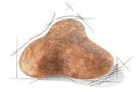 Сухой корм для собак Royal Canin Pug Adult 1.5kg фото №2 — интернет-магазин Desire.md