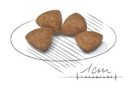 Сухой корм для собак Royal Canin X-Small Puppy 1.5kg фото №2 — интернет-магазин Desire.md