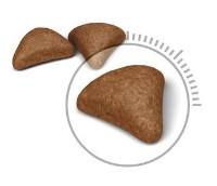 Сухой корм для кошек Royal Canin Hairball Care 400g фото №2 — интернет-магазин Desire.md