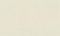Обои Rasch 965018 Linea