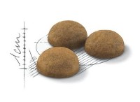 Сухой корм для кошек Royal Canin Indoor Long Hair 2kg фото №2 — интернет-магазин Desire.md