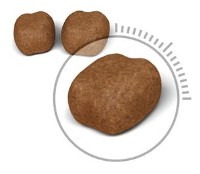 Сухой корм для кошек Royal Canin Oral Care 8kg фото №2 — интернет-магазин Desire.md