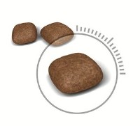 Hrană uscată pentru pisici Royal Canin Urinary Care 10kg imaginea #2 — magazin online Desire.md