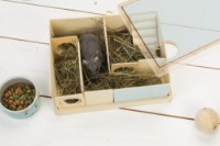 Игрушка для грызунов Beeztees Findex (811123) фото №3 — интернет-магазин Desire.md