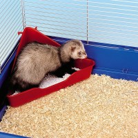 Tava pentru rozătoare Ferplast L370 imaginea #2 — magazin online Desire.md