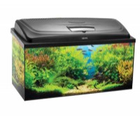 Acvariu Aquael Aqua4 Start Rectangular 54L (113065)