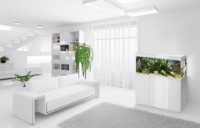 Acvariu Aquael Glossy 80 ST 125L (121499) imaginea #2 — magazin online Desire.md