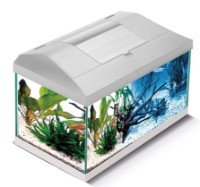 Acvariu Aquael Set Leddy Plus PAP-60 D&N LED (122730)