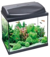 Аквариум Aquael Set Pearl High 40 Rectangular (113276) фото №1 — интернет-магазин Desire.md