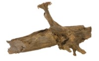 Decor pentru acvarii și terarii Aquael Mangro Root L (200297) imaginea #5 — magazin online Desire.md