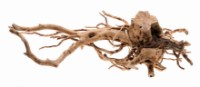 Decor pentru acvarii și terarii Aquael Root Driftwood S (109342) imaginea #3 — magazin online Desire.md