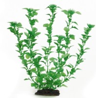 Decor pentru acvarii și terarii Beeztees Plastic (860744)