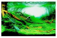 Fundal pentru acvarii și terarii Ferplast Blu 9040