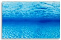 Fundal pentru acvarii și terarii Ferplast Blu 9041