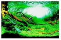 Fundal pentru acvarii și terarii Ferplast Blu 9049 imaginea #2 — magazin online Desire.md