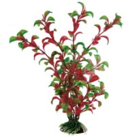 Decor pentru acvarii și terarii Ferplast Blu 9071 Rotala