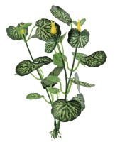 Decor pentru acvarii și terarii Ferplast Blu 9092 Cardamin