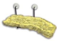 Декор для аквариумов и террариумов Zoo Med Turtle Dock S (405052) фото №2 — интернет-магазин Desire.md