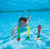 Alge pentru scufundări Intex 55503 imaginea #3 — magazin online Desire.md