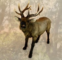 Figurina gradina Figuren Discounter Deer (7959)