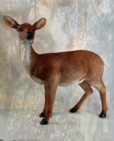 Figurina gradina Figuren Discounter Deer (Z2174)