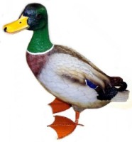 Figurina gradina Figuren Discounter Duck (Z901)