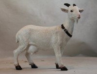 Figurina gradina Figuren Discounter Goat (9903)