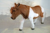 Figurina gradina Figuren Discounter Pony (Z2293)