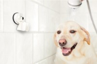 Душевой держатель Feca D White (440121-0628) фото №3 — интернет-магазин Desire.md