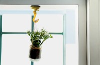 Suport prosop Feca D25 Yellow imaginea #5 — magazin online Desire.md