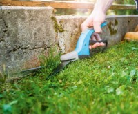 Foarfecă de gradină (secatore) Cellfast Ideal 40-405 imaginea #2 — magazin online Desire.md