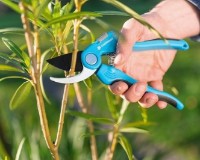 Foarfecă de gradină (secatore) Cellfast Ideal 40-414 imaginea #2 — magazin online Desire.md