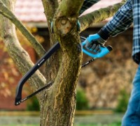 Пила по дереву Cellfast Ergo 21" 41-030 фото №2 — интернет-магазин Desire.md