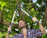 Foarfecă de gradină (secatore) Gardena EnergyCut 750 B (12007-20) imaginea #3 — magazin online Desire.md