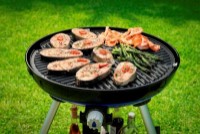 Решетка Cadac Carri Chef 2 BBQ Grid фото №2 — интернет-магазин Desire.md