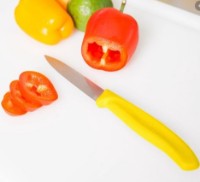 Кухонный нож Victorinox 6.7706.L118 фото №2 — интернет-магазин Desire.md