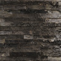 Fototapete Komar 8-700 Birkenrinde  imaginea #2 — magazin online Desire.md