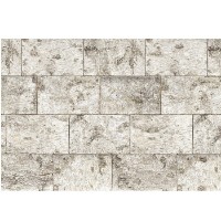 Fototapete Komar 8-740 Bjork imaginea #1 — magazin online Desire.md