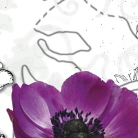 Фотообои Komar 8-887 Purple  фото №2 — интернет-магазин Desire.md