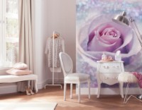 Фотообои Komar XXL2-020 Delicate Rose  фото №2 — интернет-магазин Desire.md