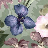 Fototapete Komar XXL4-035 Botanica  imaginea #3 — magazin online Desire.md