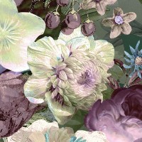 Fototapete Komar XXL4-035 Botanica  imaginea #4 — magazin online Desire.md