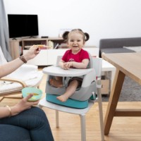 Scaun de masa Badabulle Home & Go Grey (B009011) imaginea #3 — magazin online Desire.md